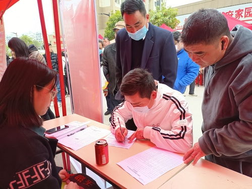 羅甸 就業 春風 進社區 保障就業穩增收